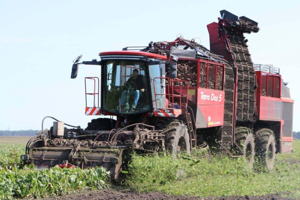 В Липецкой области произведено 415 тысяч тонн сахара из свеклы нового урожая
