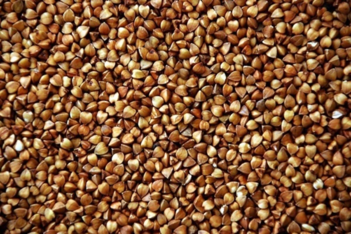 Тщательный контроль качества прошла партия башкирской гречки перед отправкой в Швейцарию