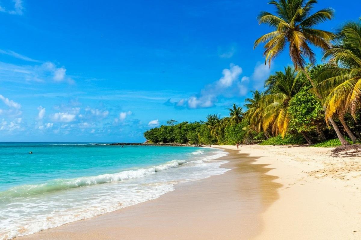 Огромное выброшенное на берег существо обнаружила отдыхающая