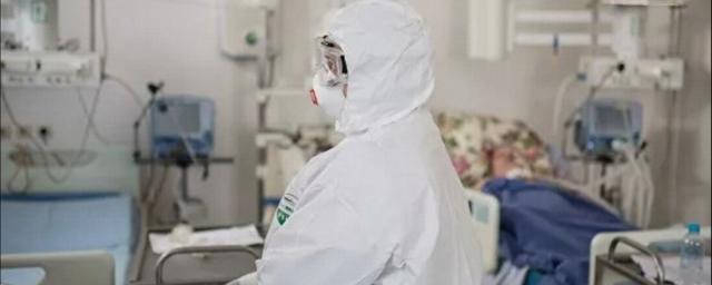 В Мурманской области за сутки выявлен 251 случай COVID-19