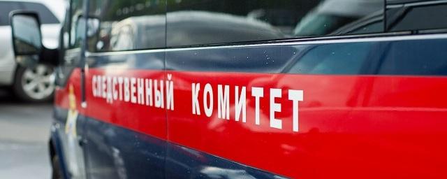 СКР возбудил дело по факту смерти роженицы в подмосковной больнице