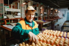 В Подмосковье в четыре раза нарастят производство яиц