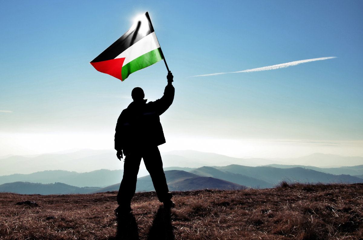 Эксперт предположил, что будет делать США после признания независимости Палестины