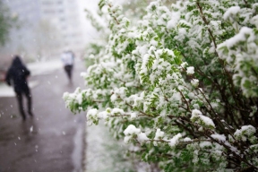 24 апреля станет самым холодным днем в Красноярске на текущей неделе