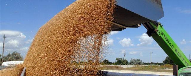 Минсельхоз РФ: Экспорт зерна вырос на треть и превысил 30 млн тонн