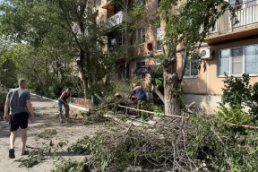 Ураганный ветер повалил десятки деревьев в Астрахани