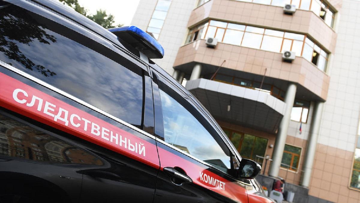 Под Пермью скатившиеся бревна раздавили насмерть 10-летних мальчиков