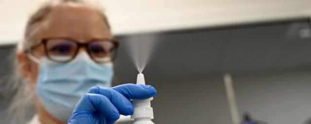 Гинцбург: Третья фаза исследований назальной вакцины от COVID-19 начнется через две недели
