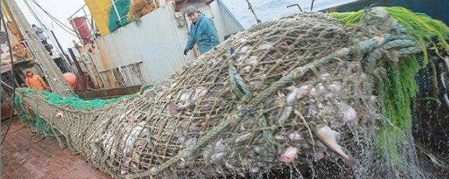 В Мурманске открылась конференция «Рыболовство в Арктике»