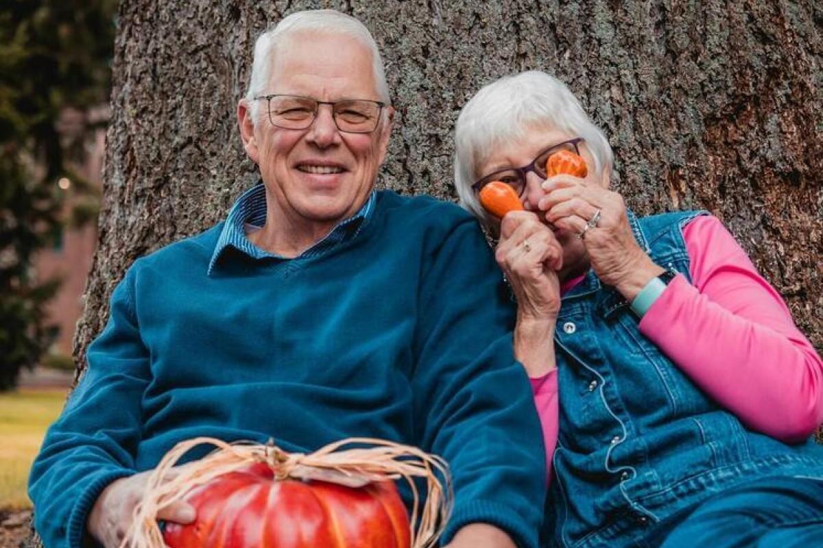 В МВД предупредили о новом виде мошенничества с перерасчетом пенсий