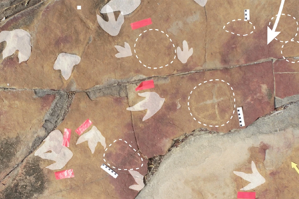 Древние жители Бразилии оставили рисунки рядом со следами динозавров