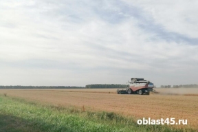 Рекордный урожай в Курганской области: более 2 млн тонн зерна