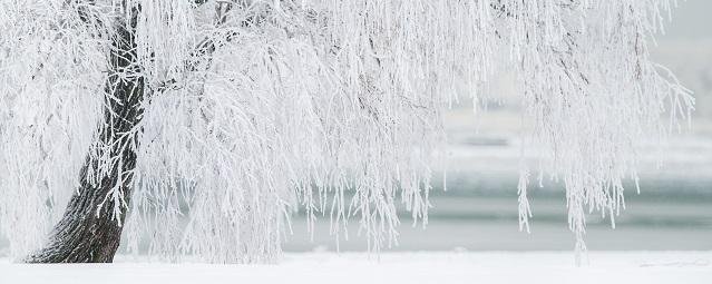 Во Владимирской области ожидается снежный апокалипсис