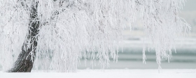 Во Владимирской области ожидается снежный апокалипсис