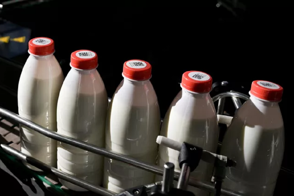 В пермских магазинах обнаружили поддельную молочную продукцию