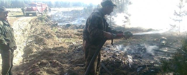 В Гусь-Хрустальном районе из-за поджога травы едва не сгорела деревня