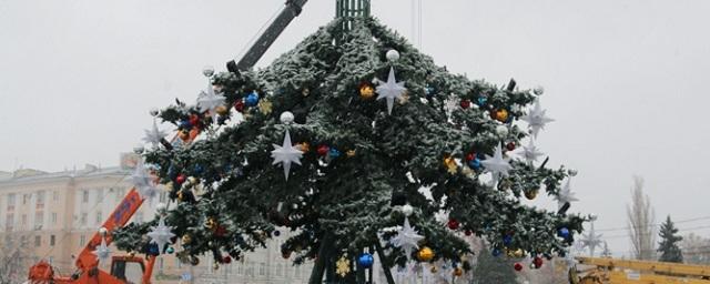 В Воронеже началась установка главной городской елки