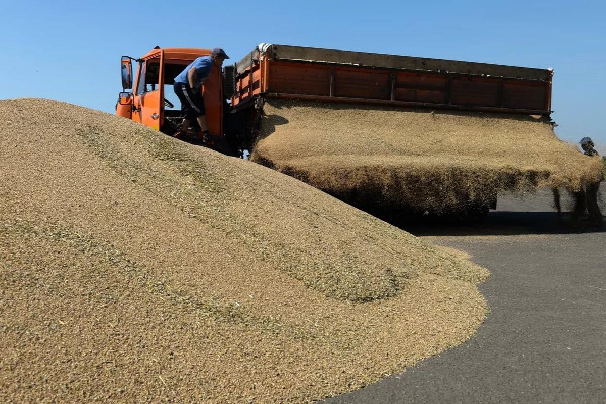 Россия перестраивает зерновой экспорт в Китай