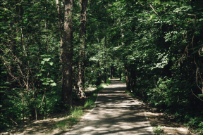 В городском округе Щелково завершили оборудование 8 народных троп