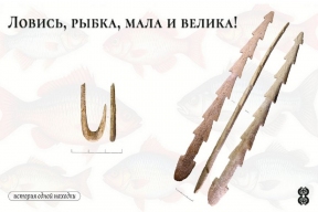 Мезолитские крючки и гарпуны: как древние мастера делали снасти из оленьего рога