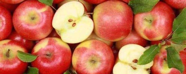 Яблочная кожура способна бороться с рассеянным склерозом
