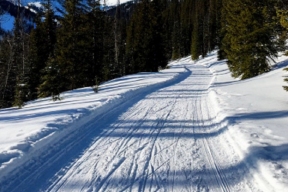 Мэрия Волжска возьмет на себя часть расходов по содержанию лыжной трассы