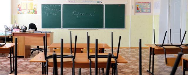 В Новосибирской области 36 школ закрыты на карантин по ОРВИ