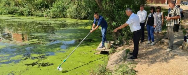 Рязанское минприроды проверит водоем, где погибли утки