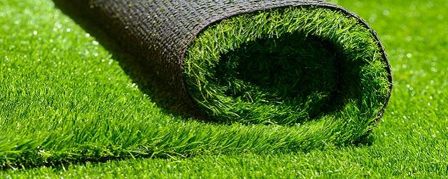 Ученые Кембриджского университета заменили газон луговыми цветами