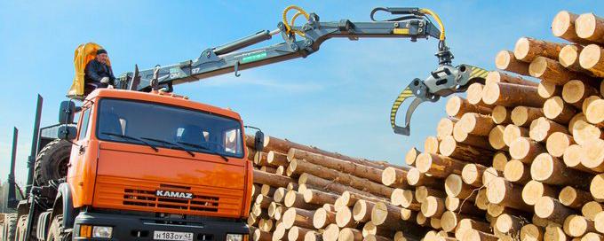 Заксобрание НСО поддержало ужесточение контроля оборота древесины