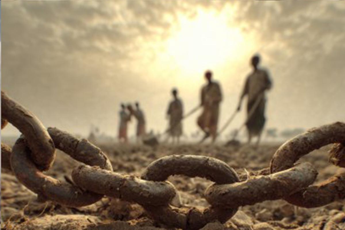 «Изо рта лилась кровь, после чего его увезли». На ферме обнаружили 17 перепуганных рабов. Проклятье русского юга