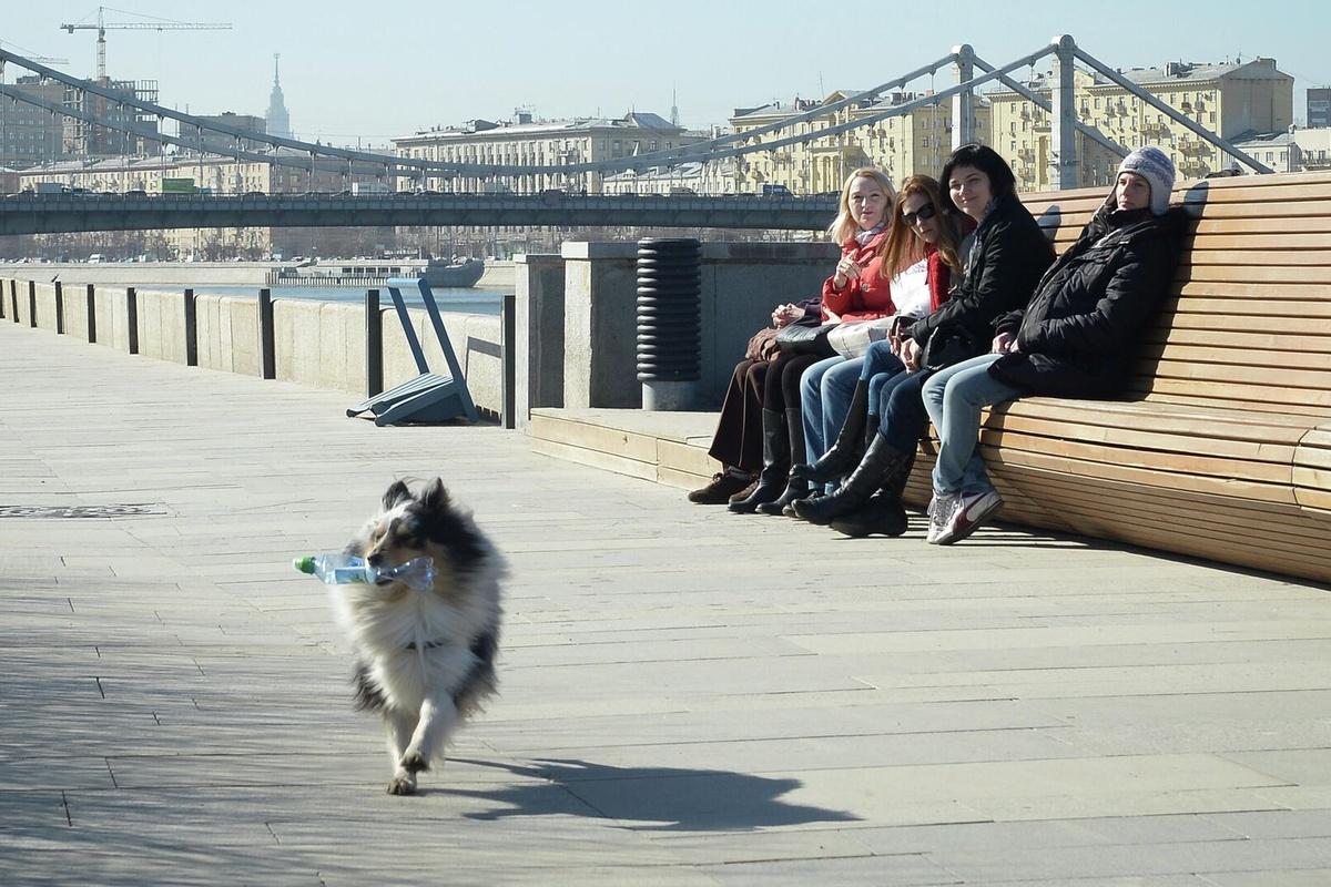 Гидрометцентр предупредил москвичей о резком похолодании 24 апреля