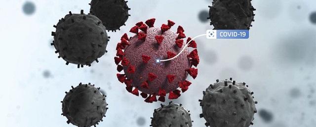 Ученые нашли новый более заразный штамм коронавируса