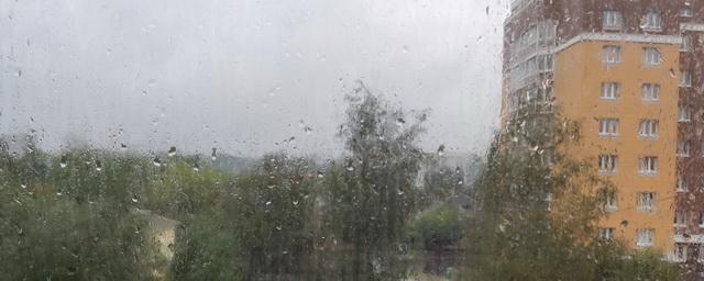 В Тюменской области ожидаются дожди и грозы