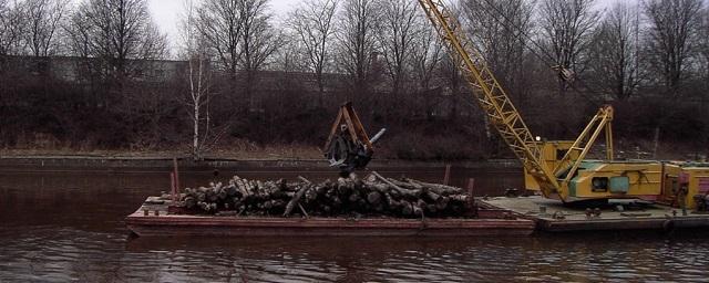 В Тамбовской области с 2008 года расчистили более 100 км водоемов