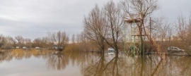 В Орске введен режим повышенной готовности из-за паводков