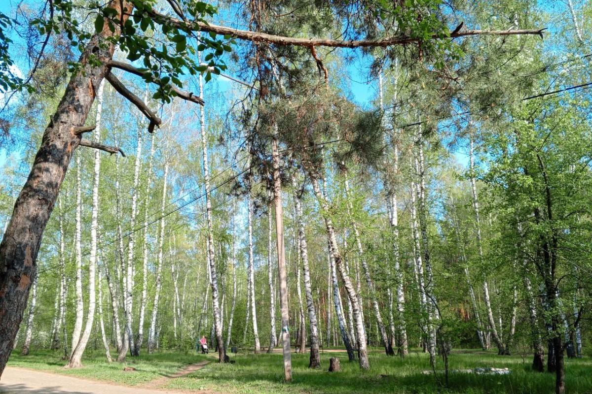 Инструктор по выживанию рассказал, что брать с собой при походе в лес