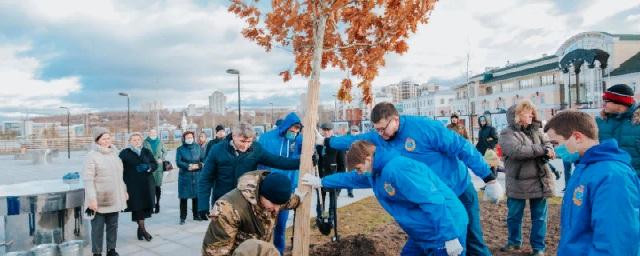 В Чебоксарах завершился первый этап озеленения Красной площади