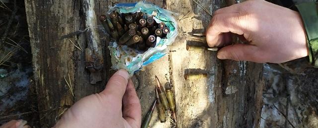 Силовики нашли в Дагестане тайник с боеприпасами