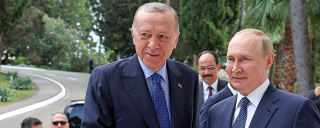Путин и Эрдоган в Сочи обсудили торговлю, «Турецкий поток» и вывоз украинского зерна