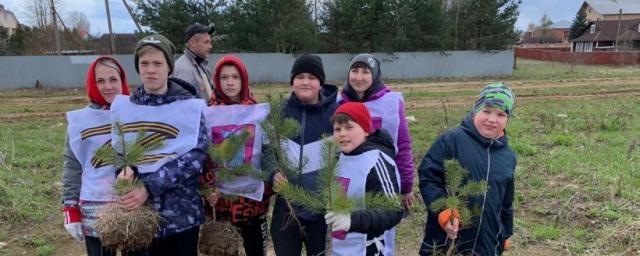 В районе ДК «Кошеровский» высадили деревья в рамках акции «Лес Победы»