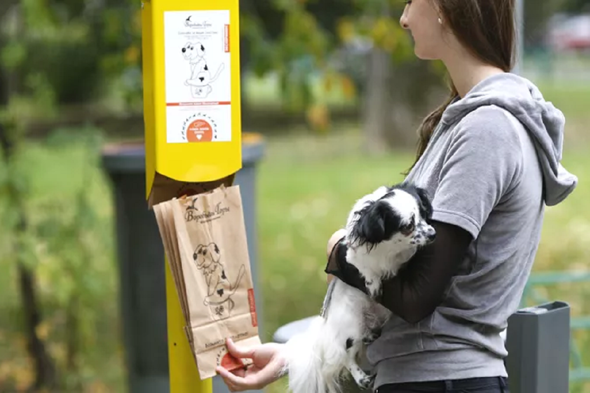 Москвичку-собачницу оштрафовали за неубранную мочу питомца