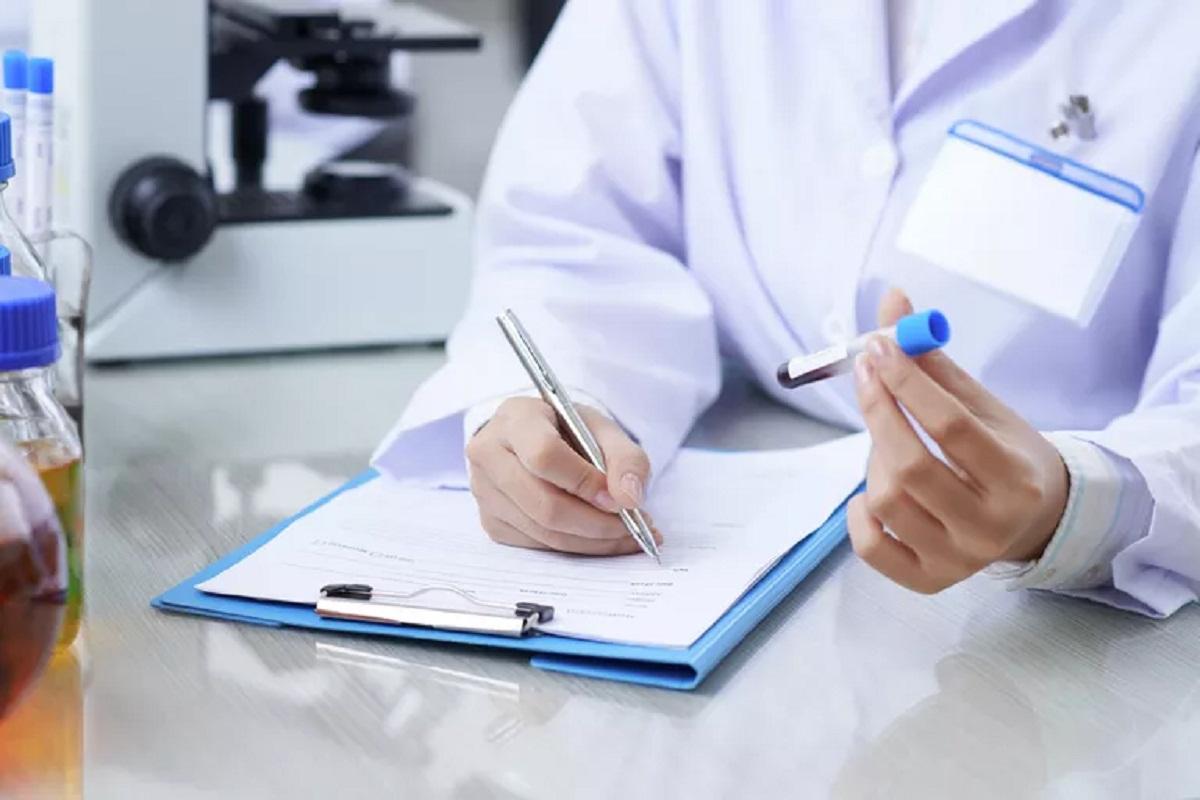 Россиян предупредили, что белки являются переносчиками бешенства