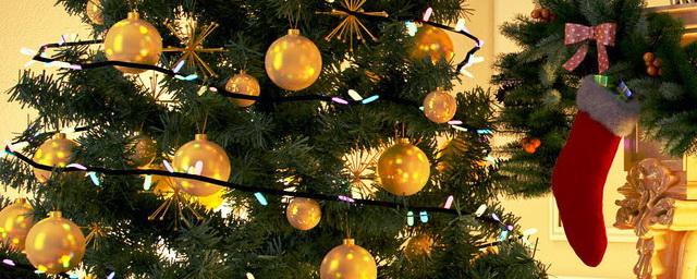 Russians warned of up to 30% price hike for New Year trees