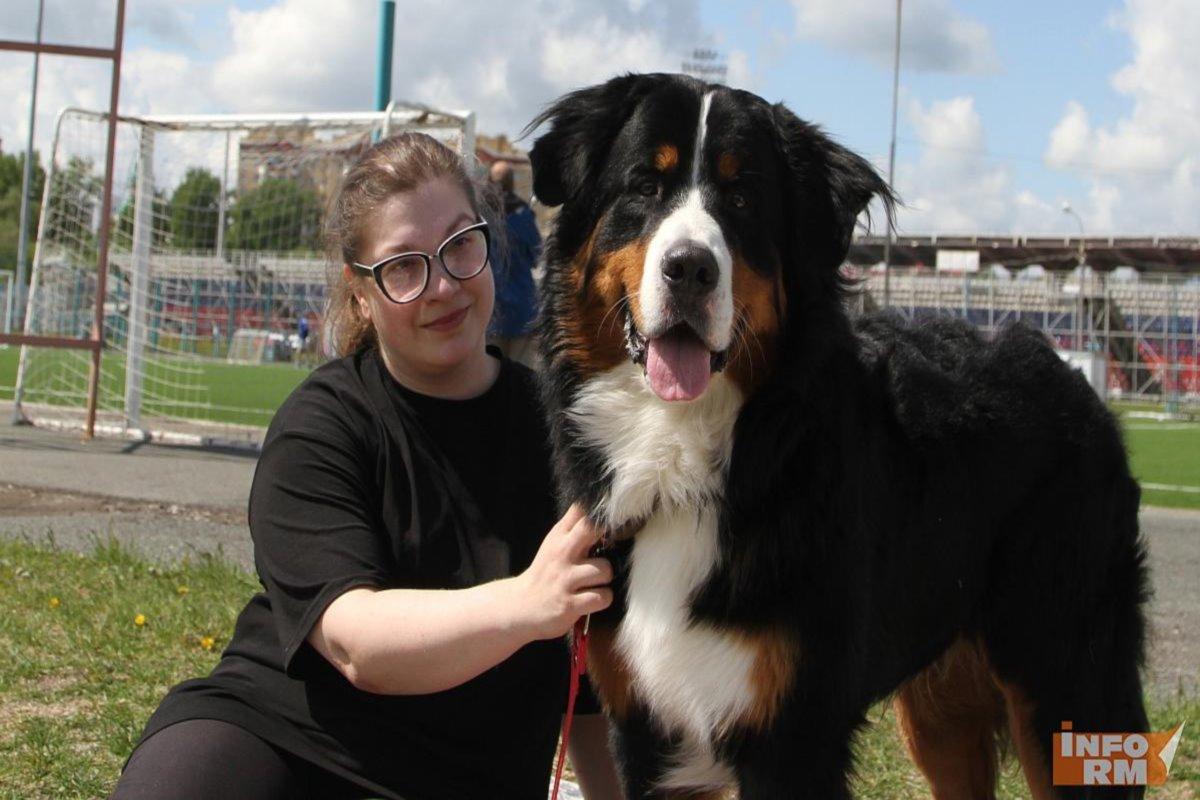 Владельцы домашних питомцев в Мордовии стали больше тратить на ветеринарные услуги