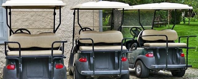 Администрация Чебоксар закупает два гольфкара для патрулирования парков