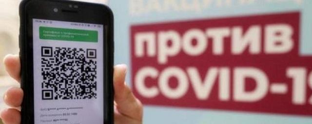 В Алтайском крае с 30 октября введут систему QR-кодов для посещения мест скопления людей