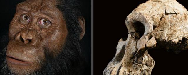 Крупнейший в мире череп древнего человека был найден в Китае