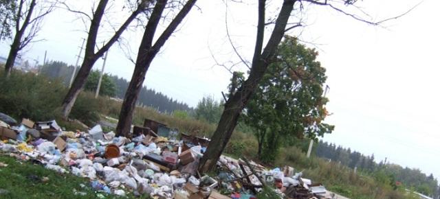 Госдума одобрила закон о штрафах до 200 тысяч рублей за сброс мусора из автомобилей