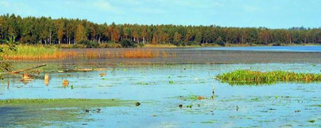 В Рузском районе МО пройдет рейд подразделений МЧС «Чистый берег»